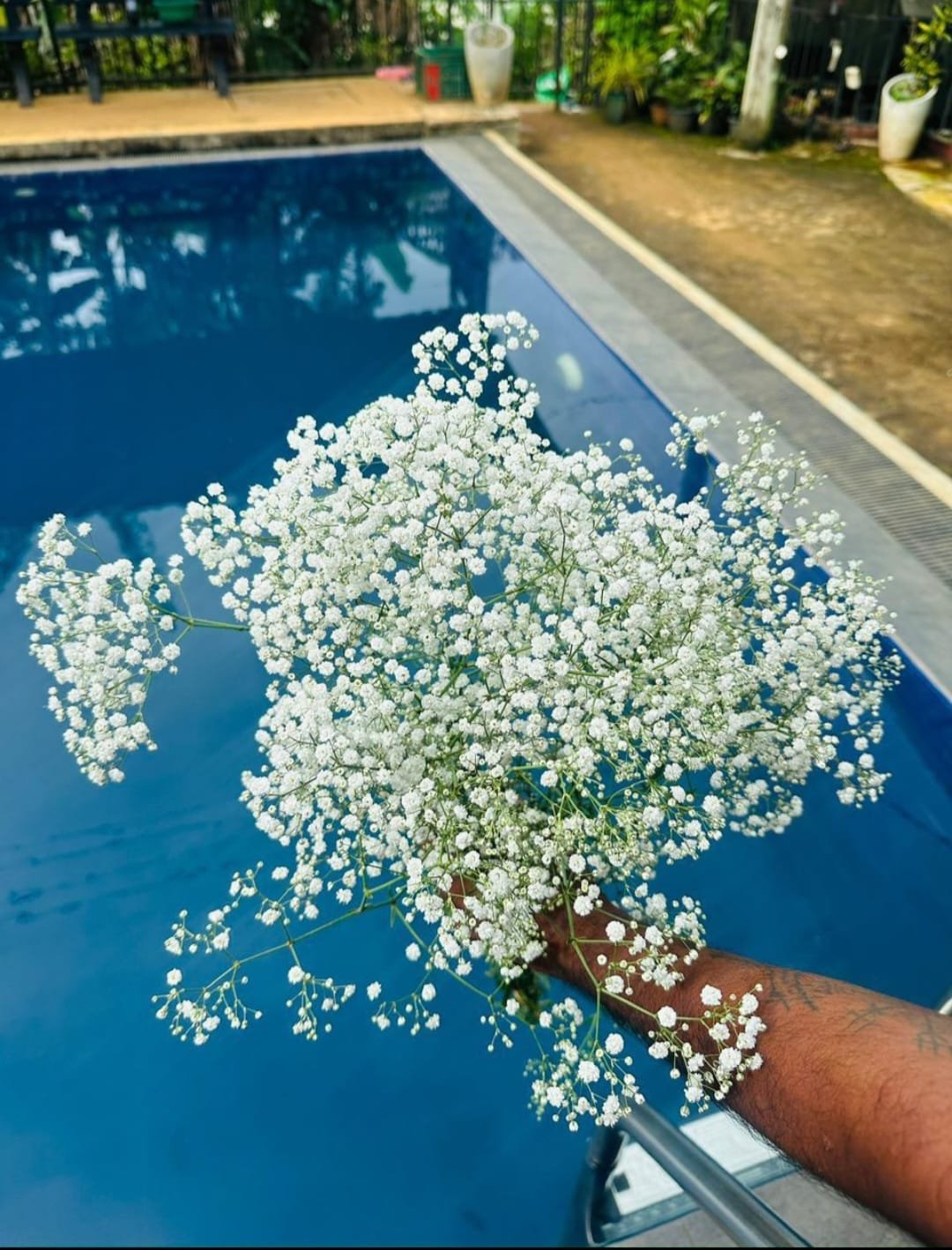 Fresh Flower 6